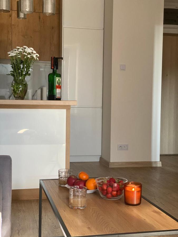 Modern Apartments & Free Parking Gorzow Wielkopolski Dış mekan fotoğraf